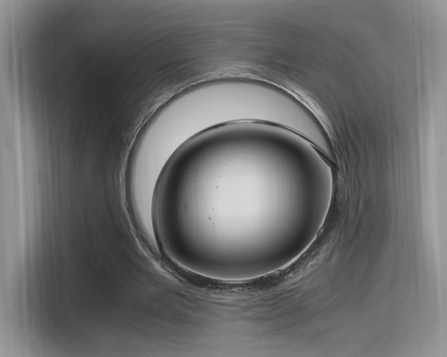 X0000115340485200911091308