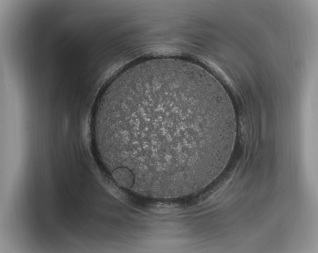 X0000115340487200911091308