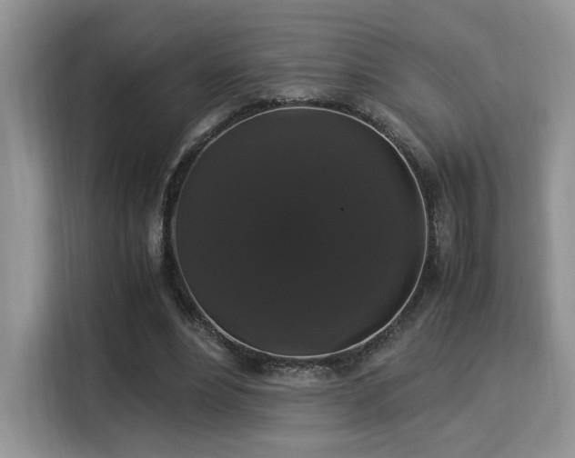 X0000115340488200911091308
