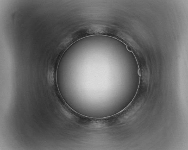 X0000115340489200911091308