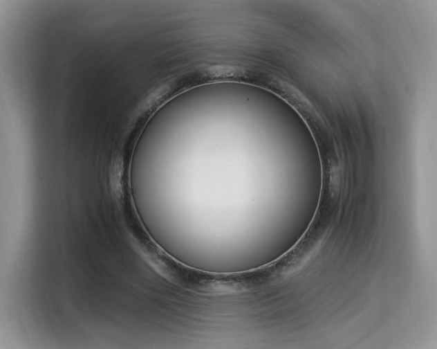 X0000115340490200911091308