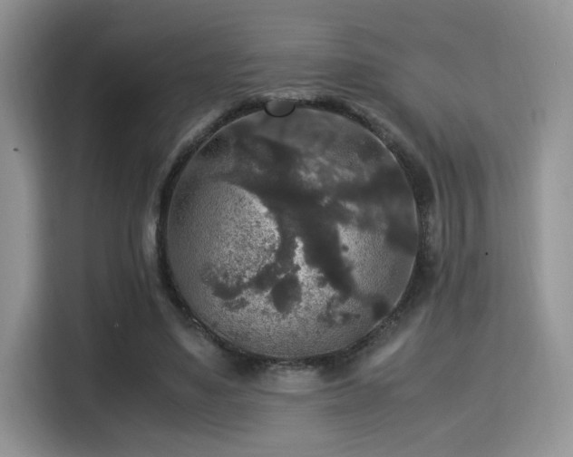 X0000115340491200911091308
