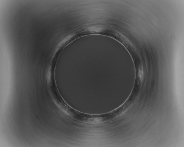 X0000115340492200911091308