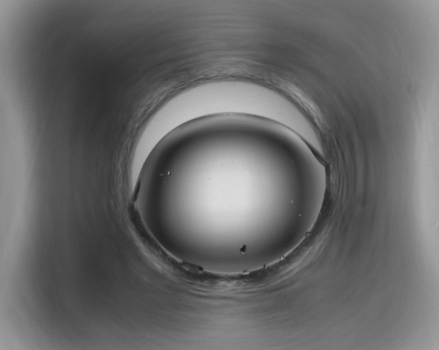 X0000115340493200911091308