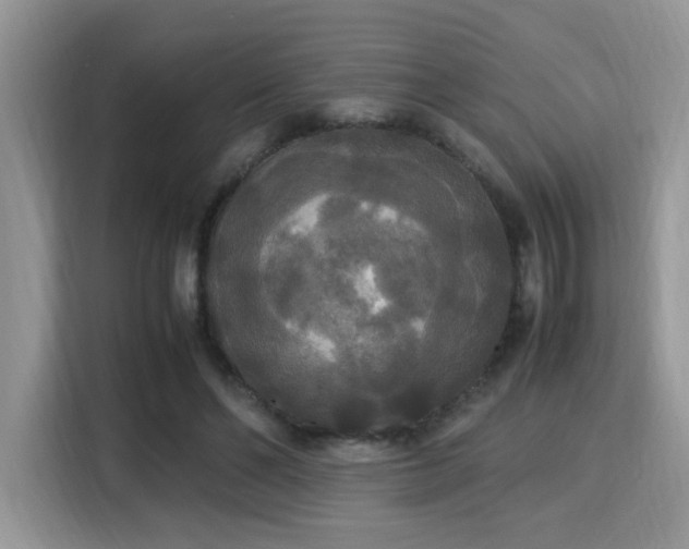 X0000115340494200911091308