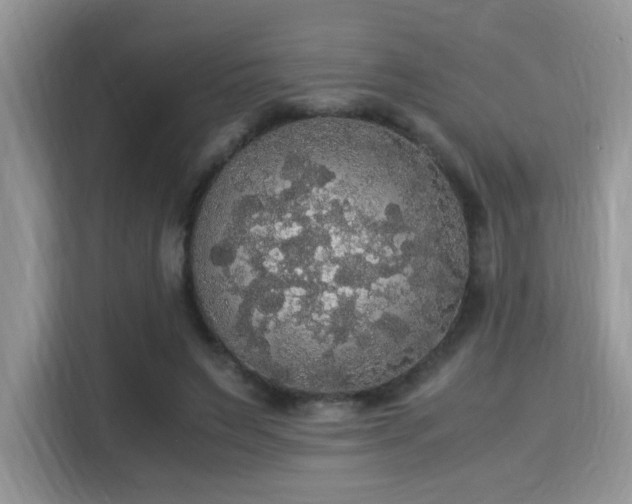 X0000115340495200911091308
