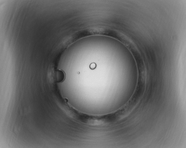 X0000115340498200911091308