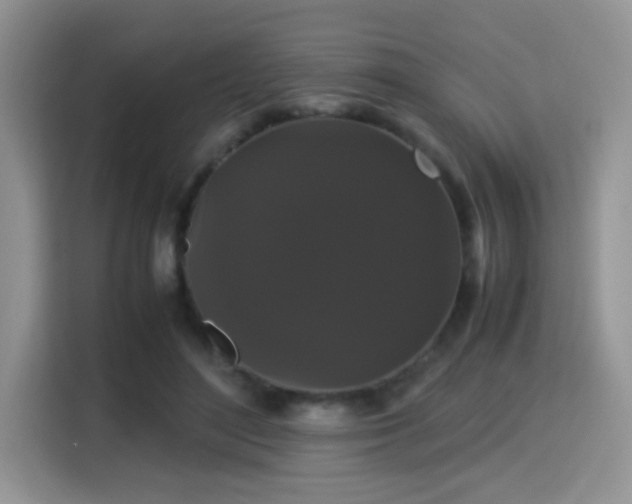 X0000115340500200911091308