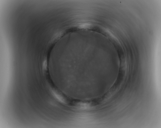 X0000115340502200911091308