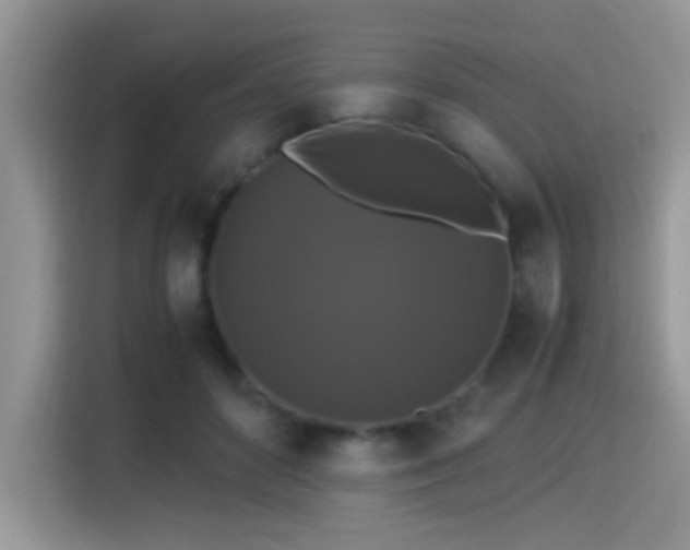 X0000115340504200911091308