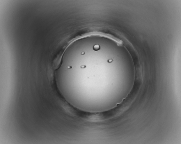 X0000115340505200911091308