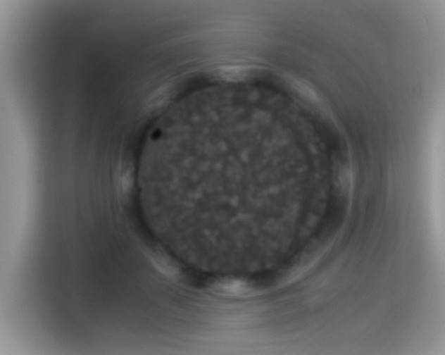 X0000115340507200911091308