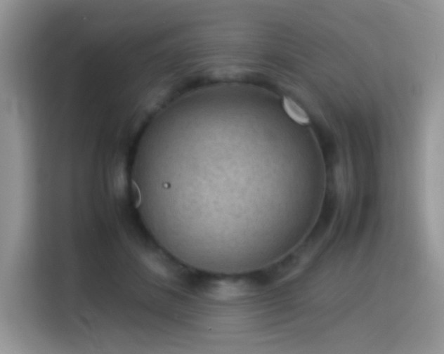 X0000115340508200911091308
