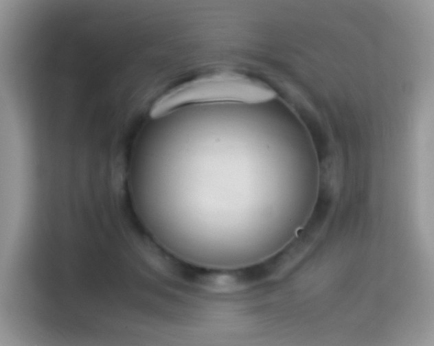 X0000115340509200911091308