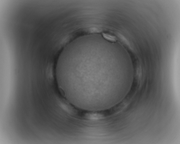 X0000115340512200911091308