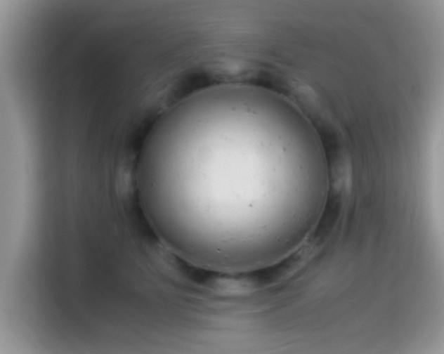 X0000115340515200911091308
