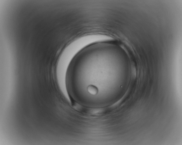X0000115340516200911091308