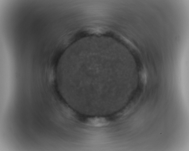 X0000115340517200911091308