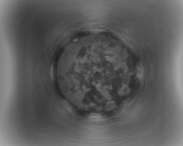 X0000115340519200911091308