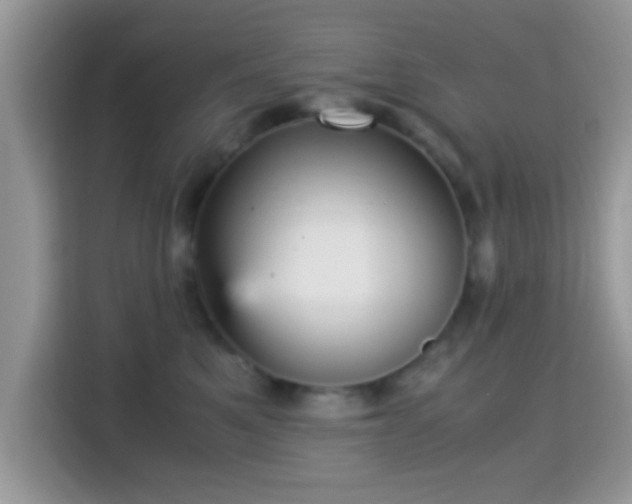 X0000115340521200911091307