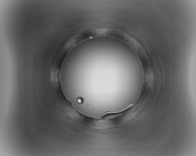 X0000115340525200911091307