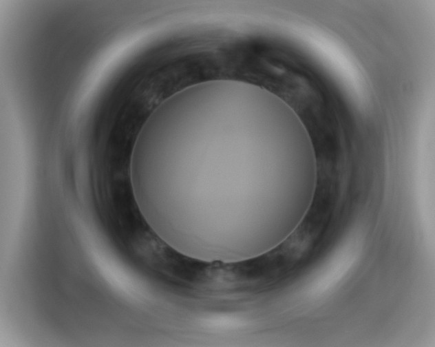 X0000115340526200911091307