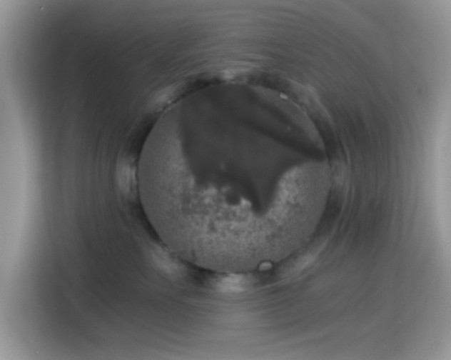 X0000115340527200911091307