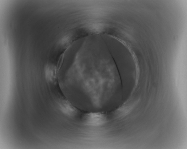 X0000115340528200911091307