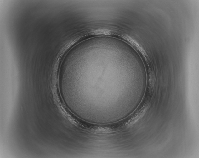 X0000115340529200911091307