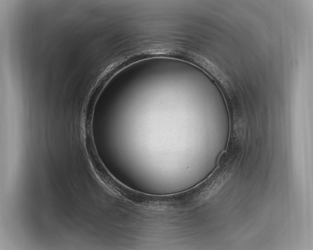 X0000115340530200911091307