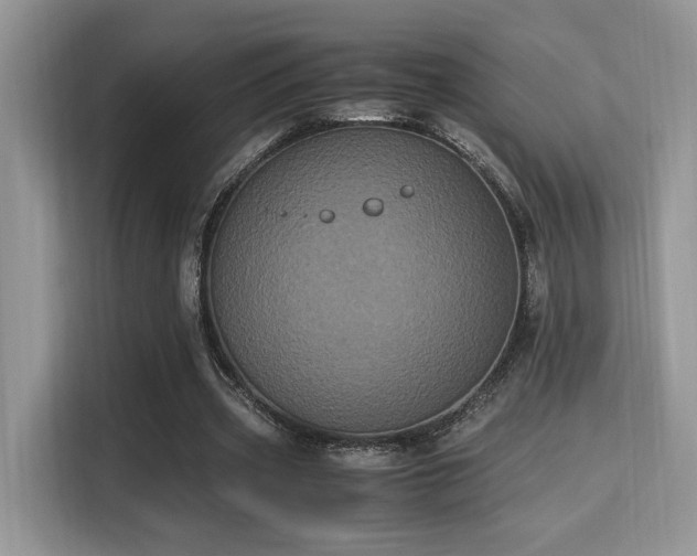 X0000115340533200911091307