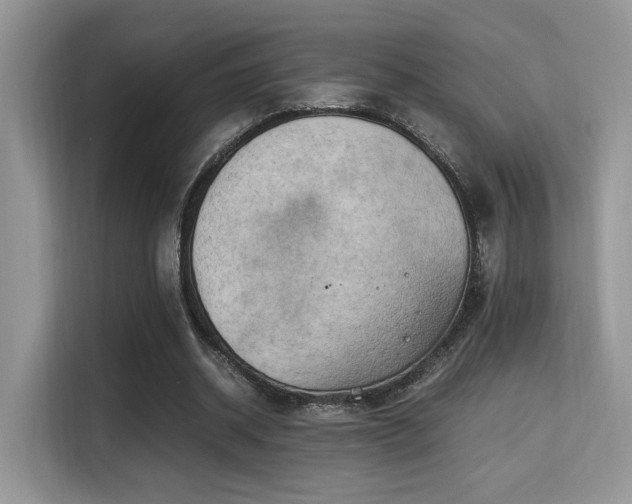 X0000115340534200911091307