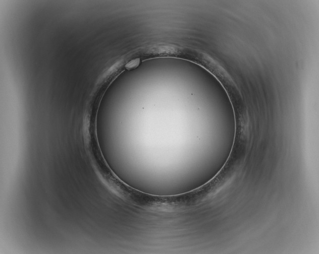 X0000115340538200911091307