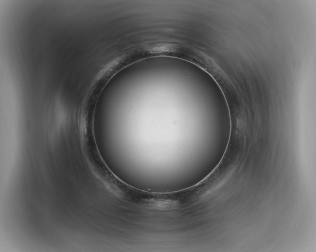 X0000115340539200911091307