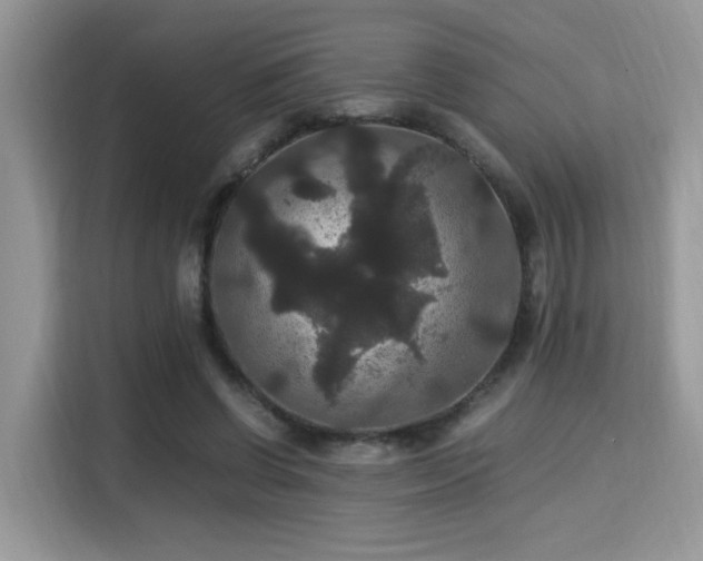 X0000115340542200911091307