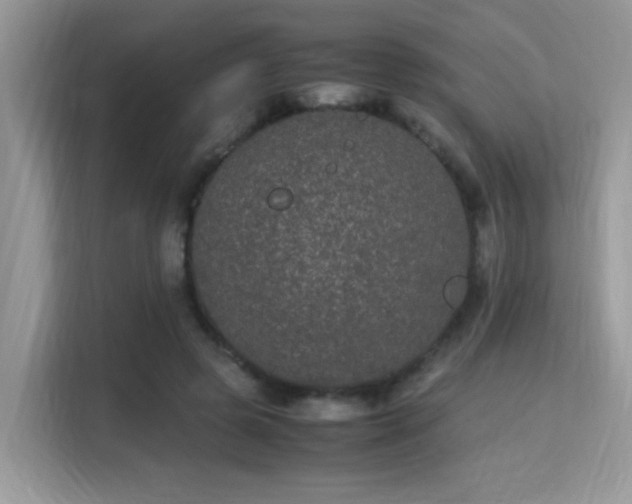 X0000115340545200911091307