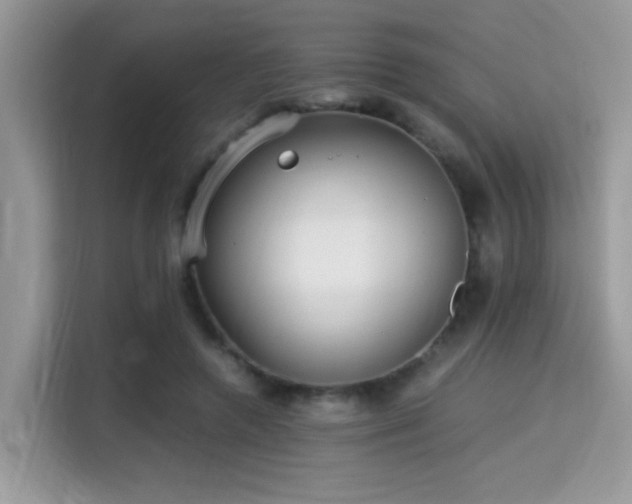 X0000115340546200911091307