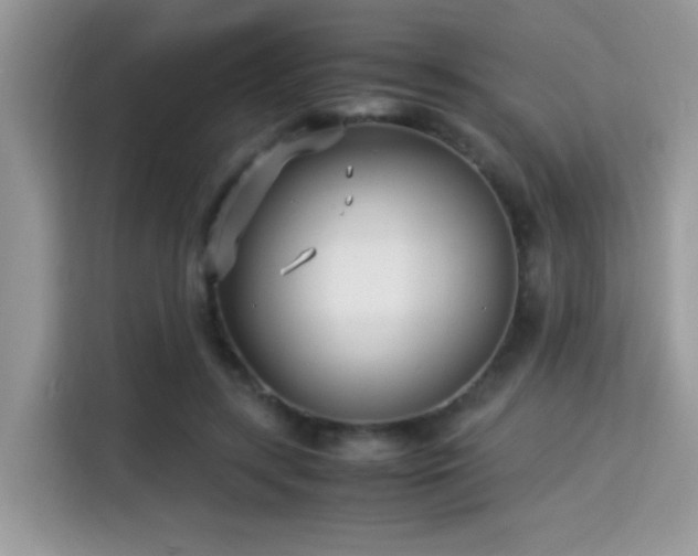 X0000115340547200911091307