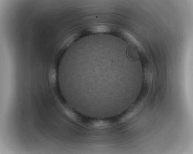 X0000115340549200911091307