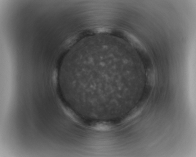 X0000115340550200911091307