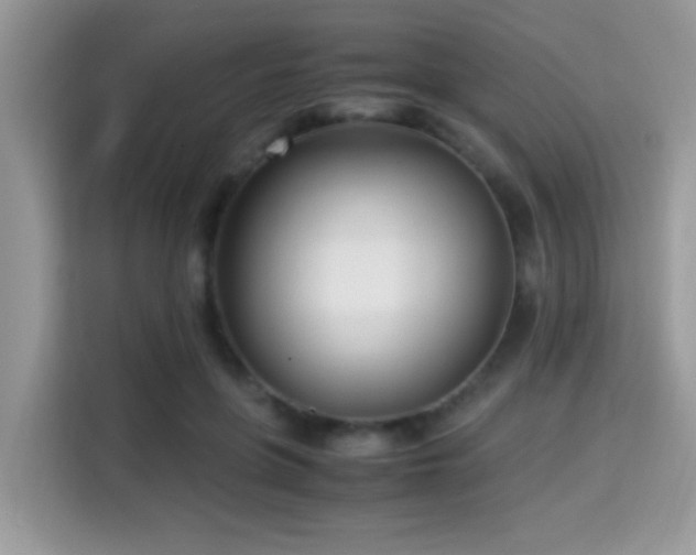 X0000115340551200911091307