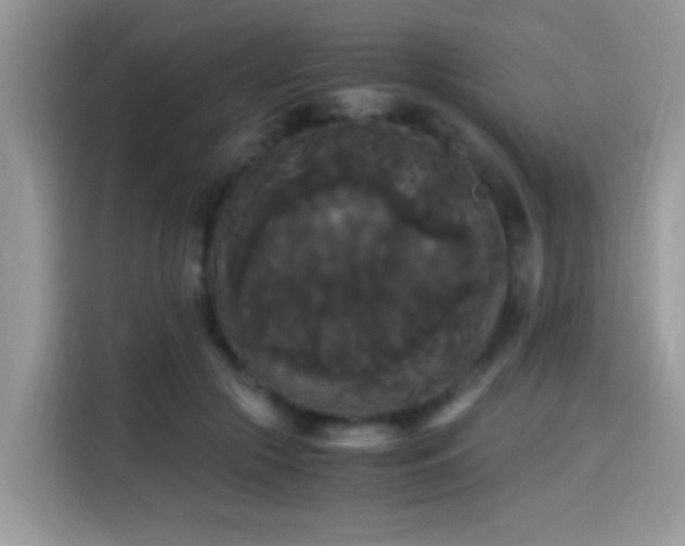 X0000115340553200911091307