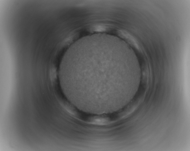 X0000115340555200911091307