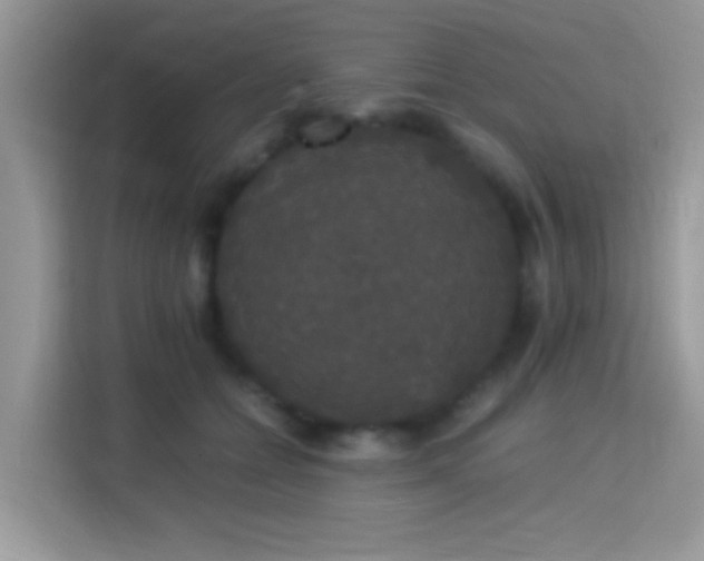 X0000115340558200911091307