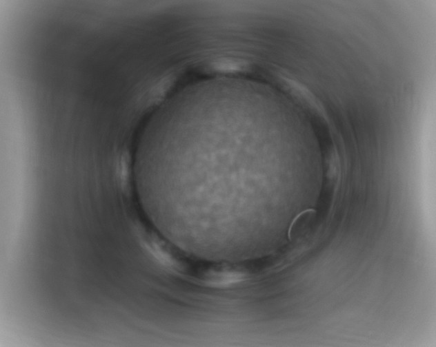 X0000115340559200911091307