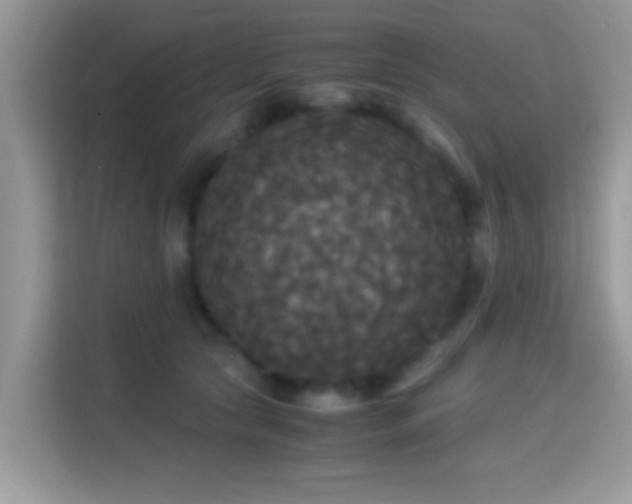 X0000115340561200911091307