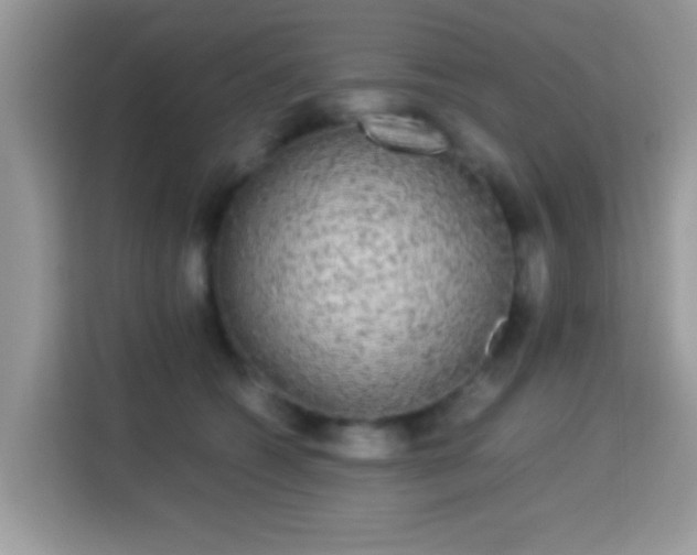 X0000115340562200911091307