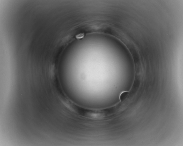 X0000115340563200911091307