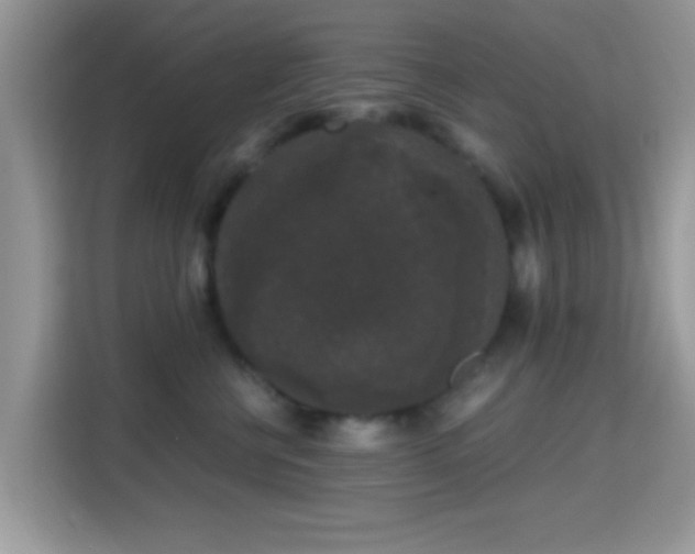 X0000115340570200911091307