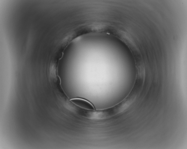 X0000115340575200911091307